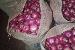 WhatsApp-Image-2025-06-13-at-4.43.54-PM-1